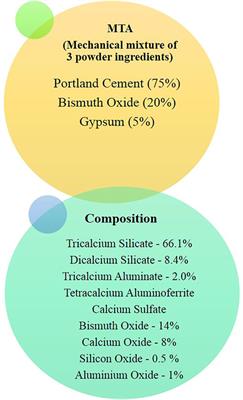 Modified Mineral Trioxide Aggregate—A Versatile Dental Material: An Insight on Applications and Newer Advancements